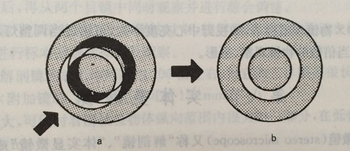 20140930VB460X6662.jpg